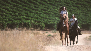 Rutas a Caballo-Ruta del Vino de Rueda