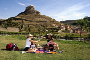 Una familia disfruta junto a los viñedos de la Ruta del Vino Ribera del Duero