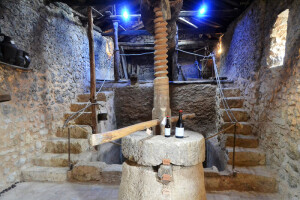 El conjunto El Cotarro incluye siete lagares tradicionales