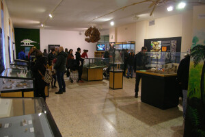Museo de los Dinosaurios
