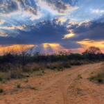 Crepuscular rays at Sunset near Waterberg Plateau