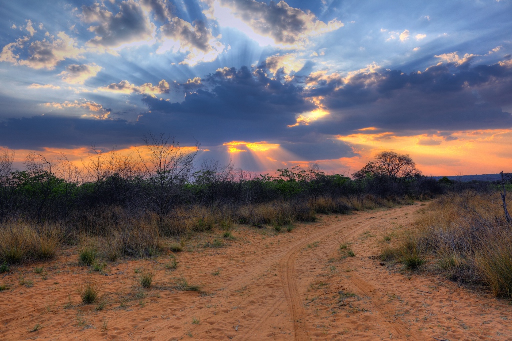 Crepuscular rays at Sunset near Waterberg Plateau