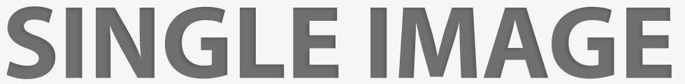 single-image