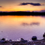 photo1