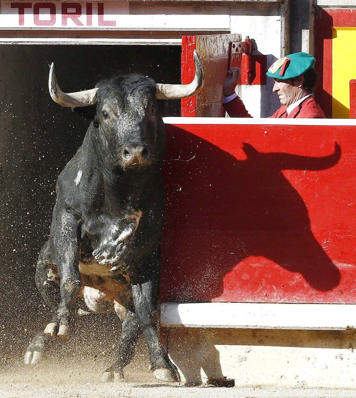 toros20177