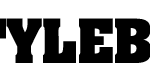 logo-stylebook