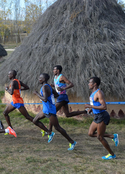 CROSS ATAPUERCA1
