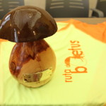 Trofeo Boletus
