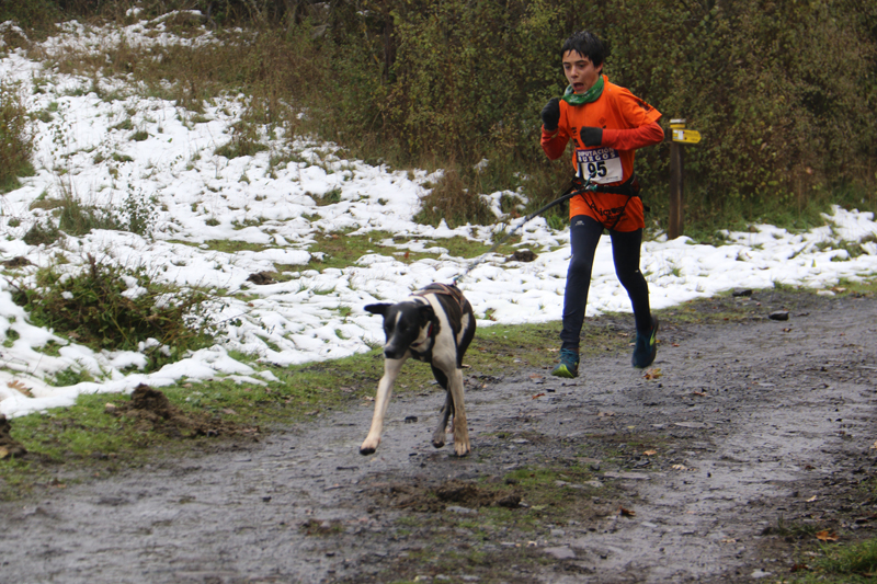 Canicross de San Adrian de Juarros (17)