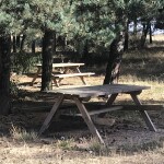 Campo Lilaila
