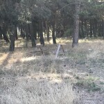 Campo Lilaila (2)