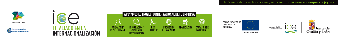 Inernacionalizacion1100x150