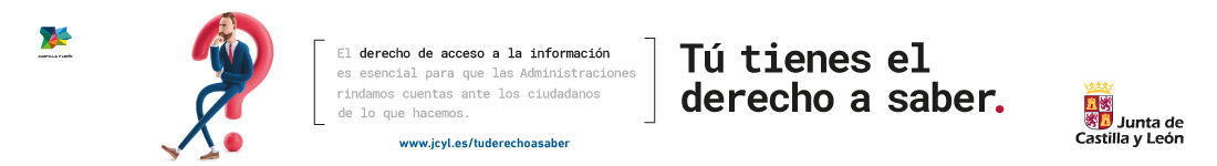 Informacion1100x150