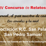 anuncio horizontal sin logos