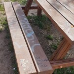 Desperfectos en parques y bancos de la zona sur 4
