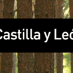 Banner_RecursosForestales_1100x150