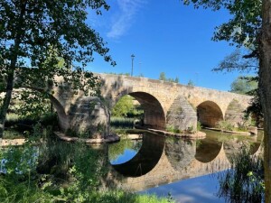 Nuevo proyecto medioambiental en Lerma