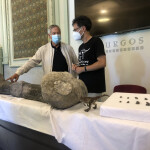 Presentación excavación dinosaurios Salas de los Infantes