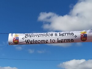 Bienvenida a los participantes