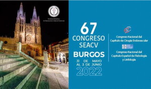 67 Congreso de la Sociedad Española de Angiología y Cirugía Vascular SEACV