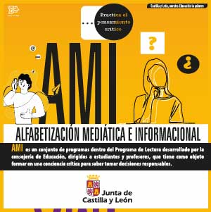 C77AMI300X300