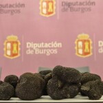 Trufa negra de Burgos