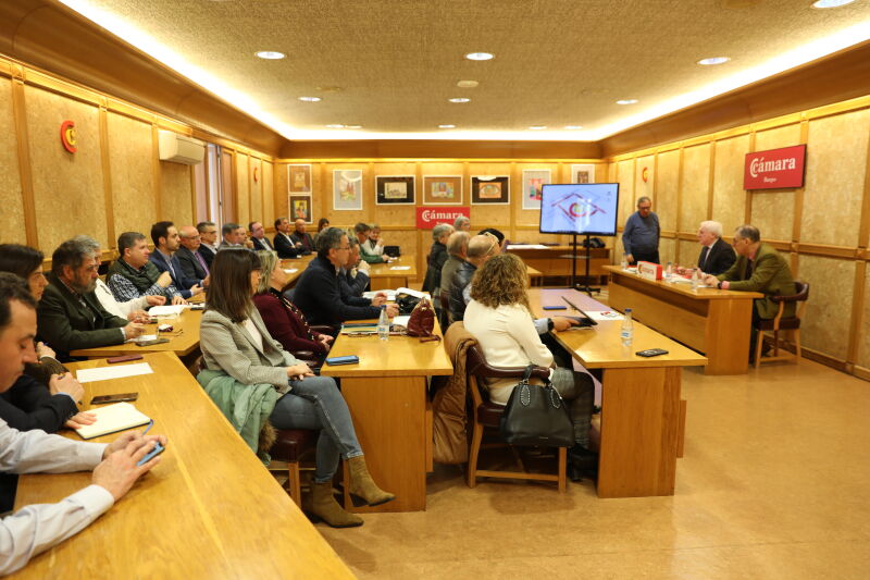 Plataforma Cívica por el Desarrollo de las Infraestructuras de Burgos