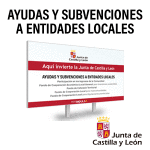 C-Ayudas-y-subvenciones_300-x-300