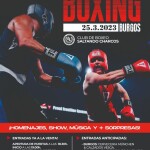 Cartel boxeo